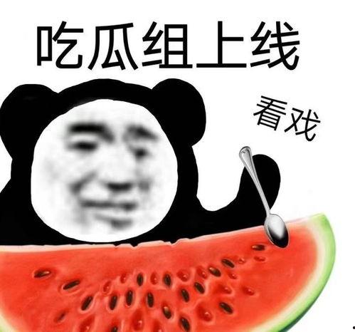 反吃瓜表情包,揭秘网络时代的“冷眼旁观”态度